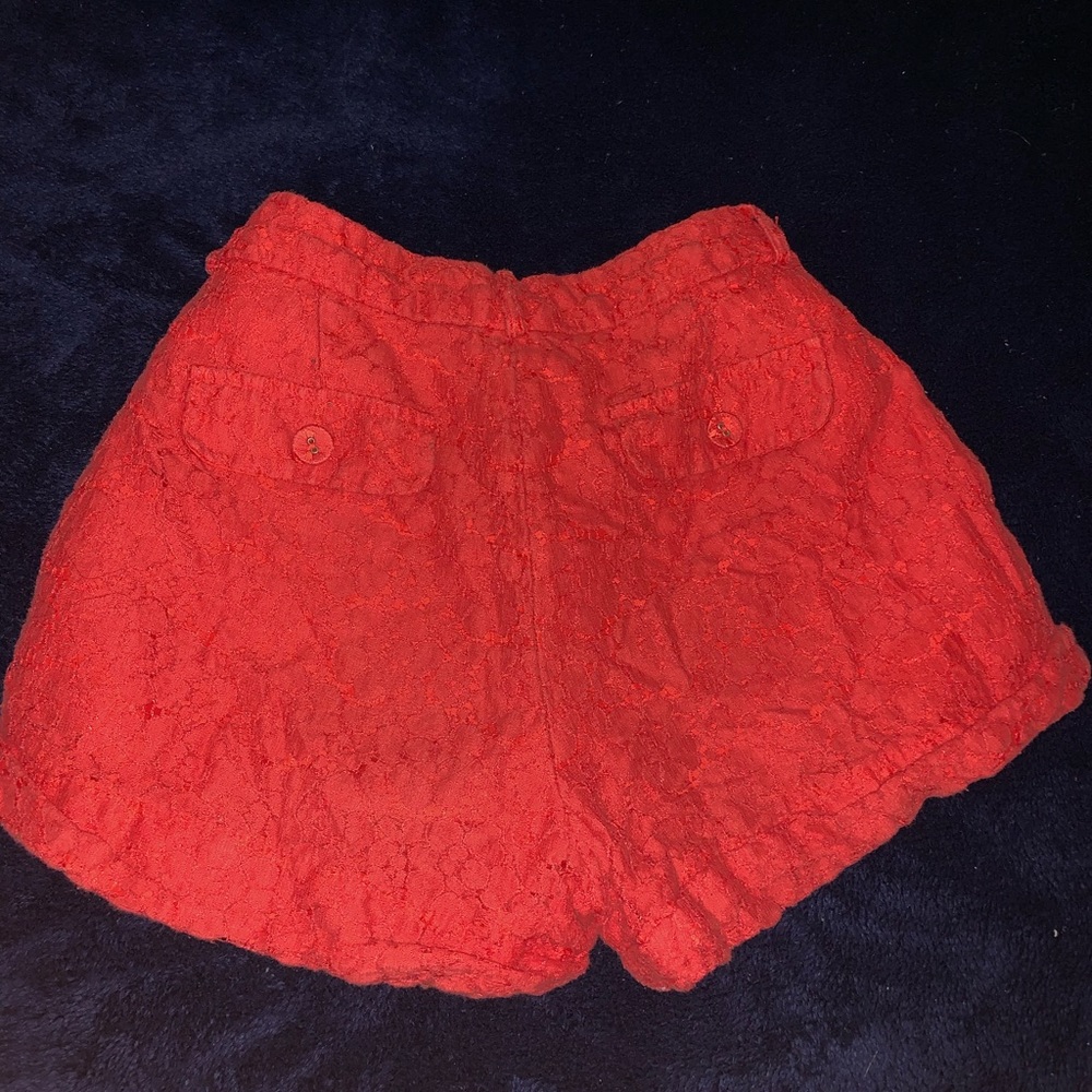 Shorts - Picture 3 of 4